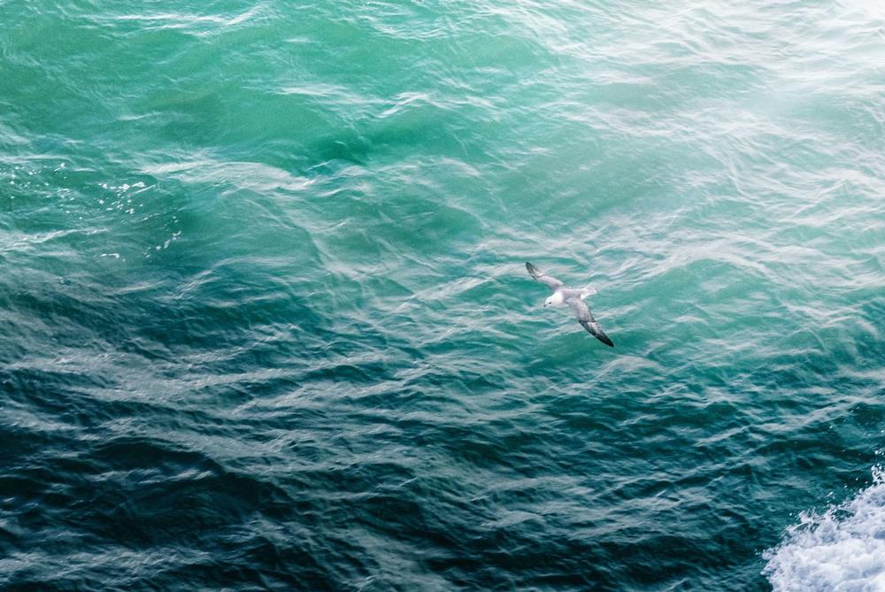 Hike the Wild Shorelines: Experience Natural Solitude on Matia Island