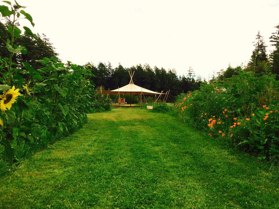 Connect with Nature: Wander Gardens and Meadows at Peaceful Orcasong Farm