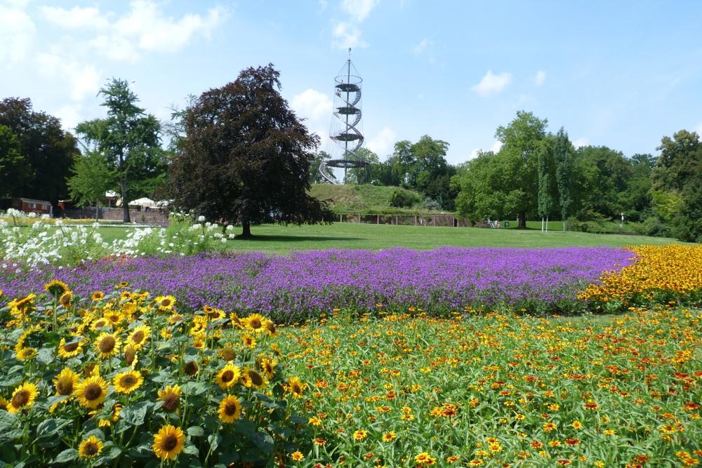 Soak Up Sun and Sculpture at Killesbergpark