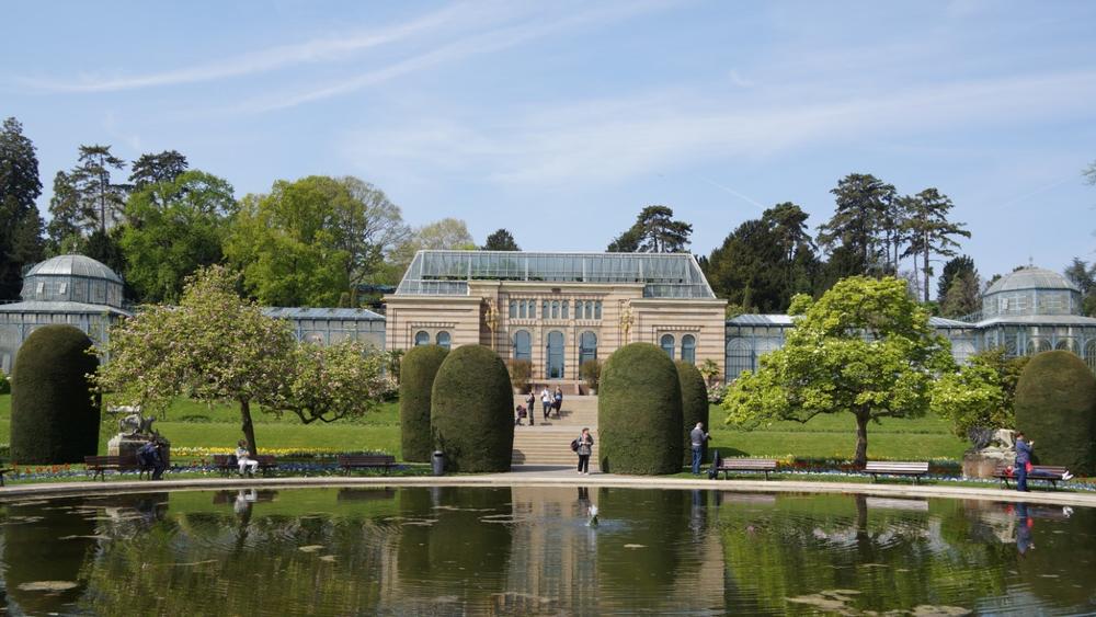 Roam Wild and Bloom Bright at Wilhelma Zoo and Botanical Gardens