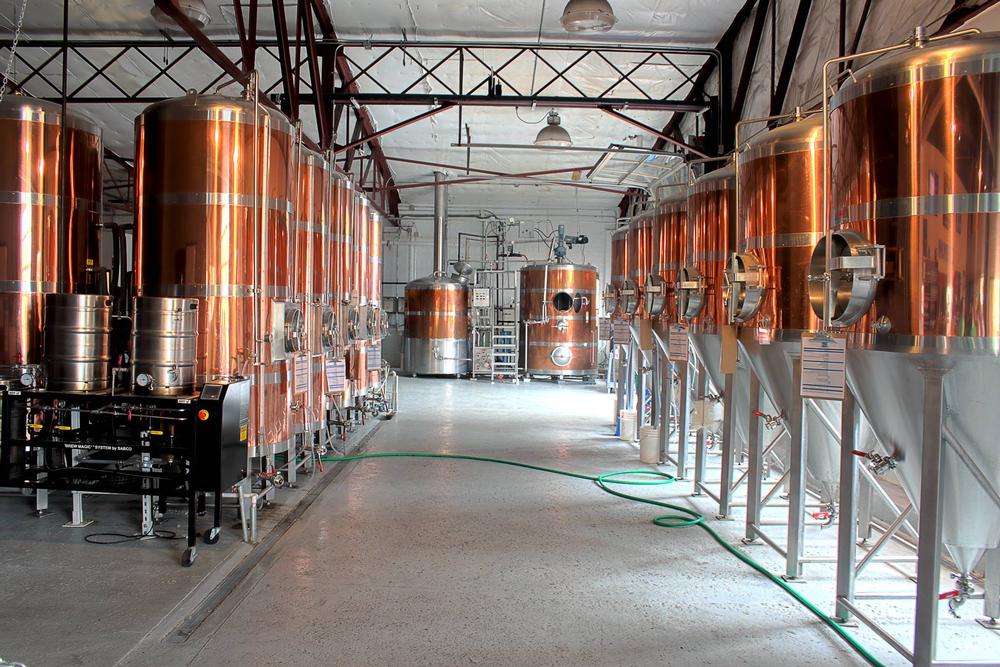 Sip Bold Brews at Blue Stallion Brewing Co.