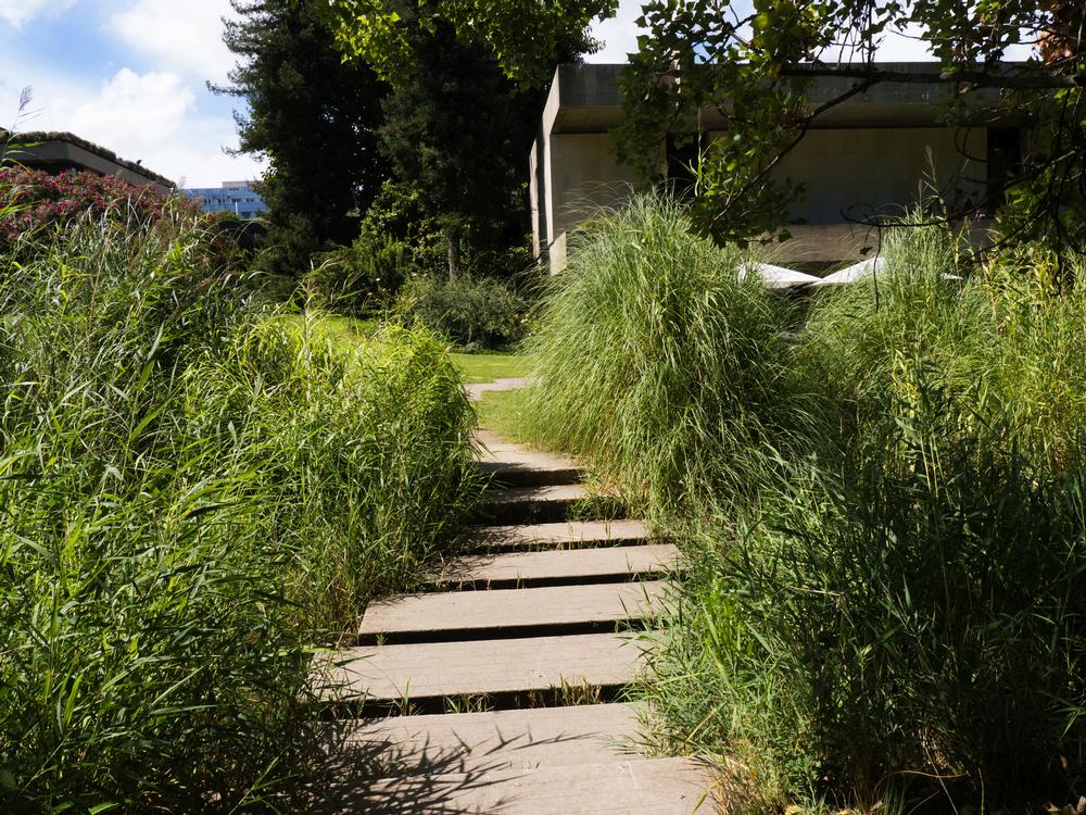 If You Crave Timeless Art, Visit the Calouste Gulbenkian Museum