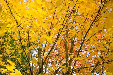 More Attractions at Audubon Nature Center