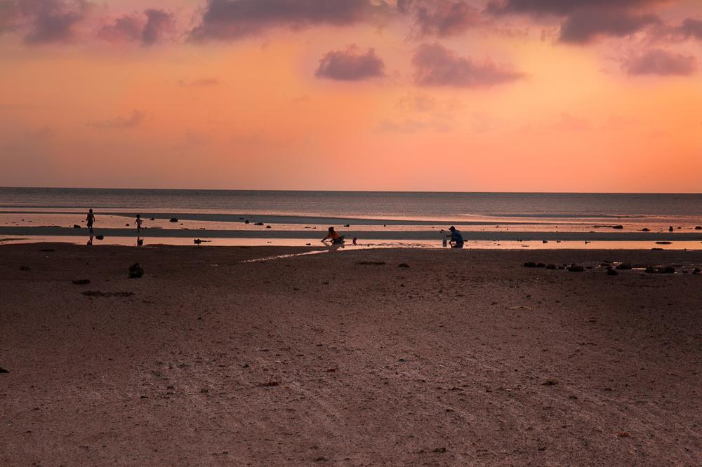 Explore tide pools and enjoy a family-friendly beach day.