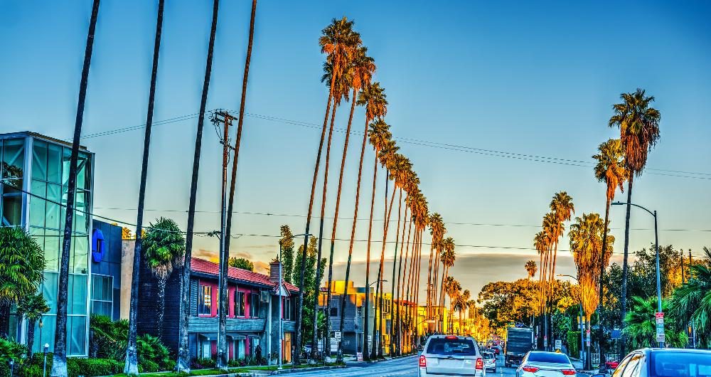 21 Unique Things To Do In LA This Fall