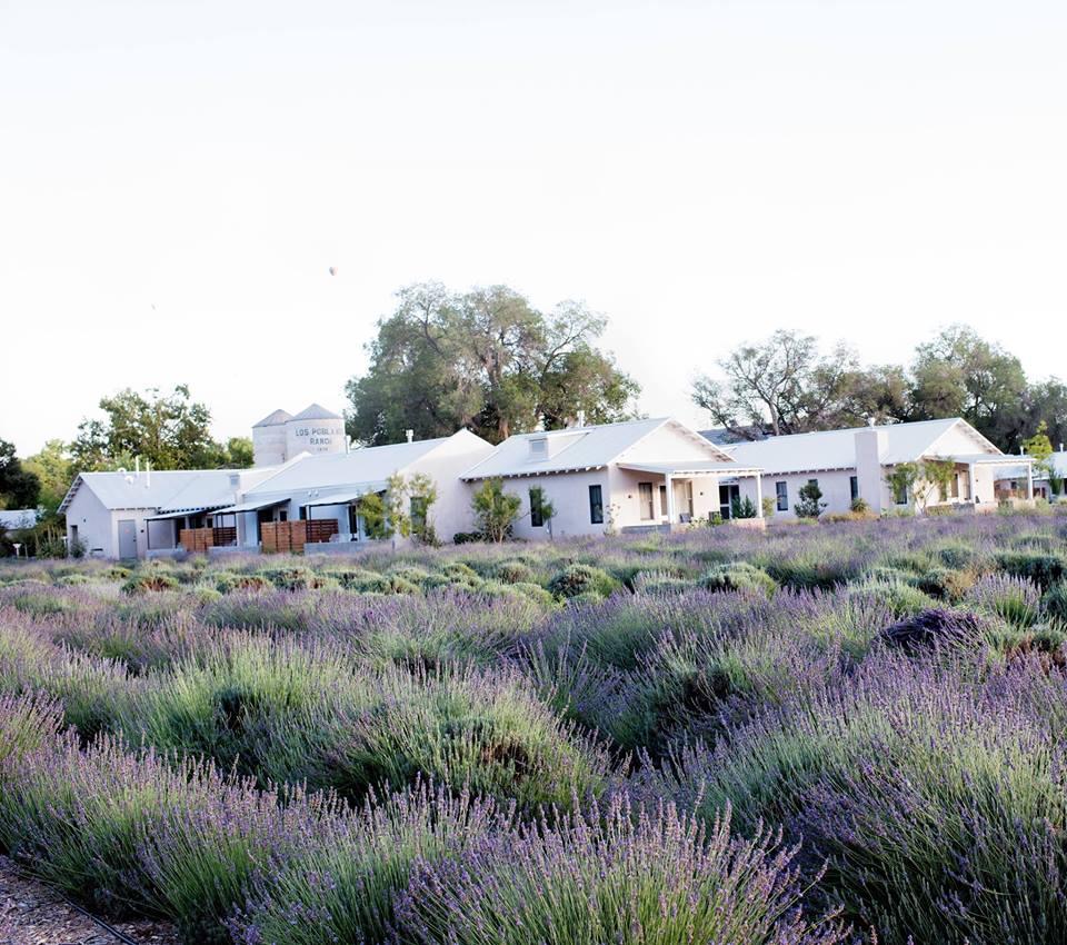 If You Love Farm-to-Fork Experiences, Book a Table at Campo at Los Poblanos