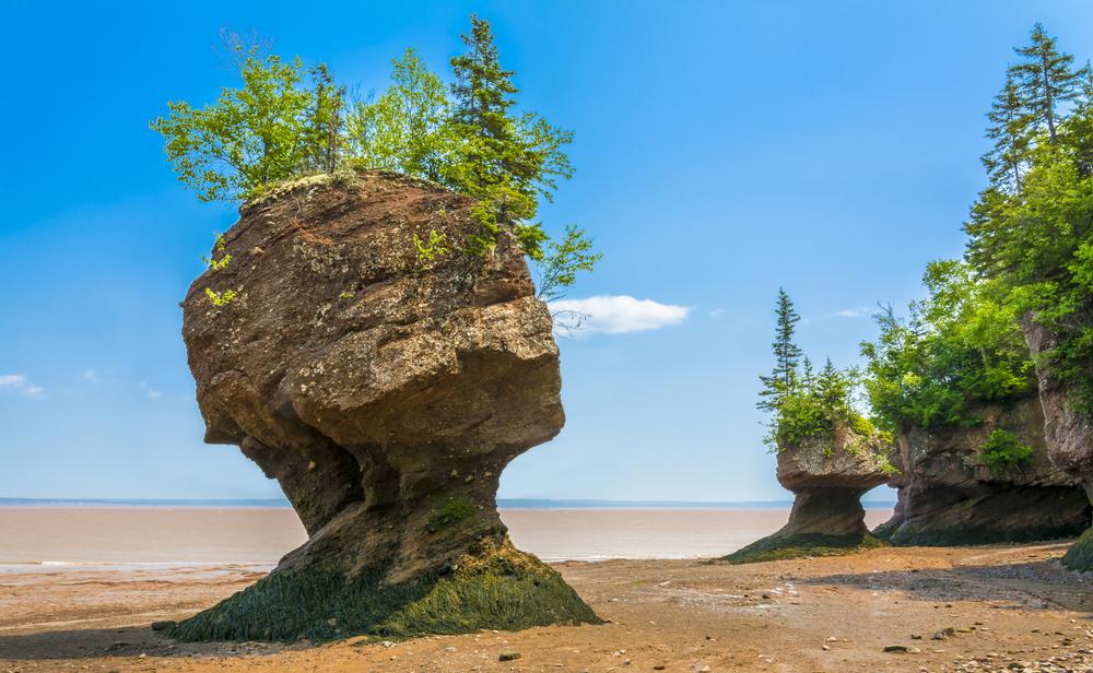 Ride the World’s Highest Tides at Bay of Fundy