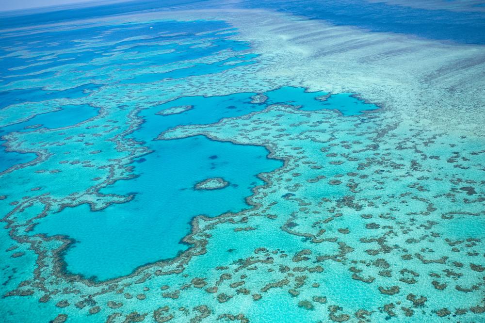 Float Over Living Color at the Great Barrier Reef