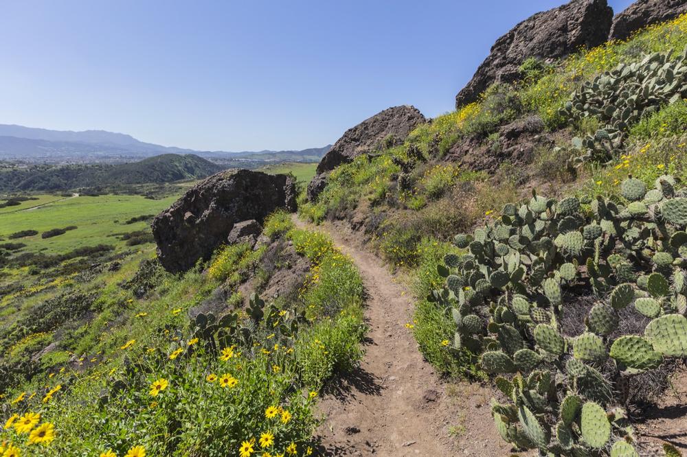 Hike, Bike, and Explore Nature’s Best at Wildwood Regional Park