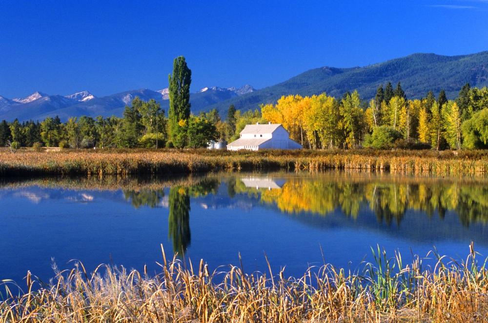 Birdwatch and Wander Through Wetlands at Lee Metcalf National Wildlife Refuge