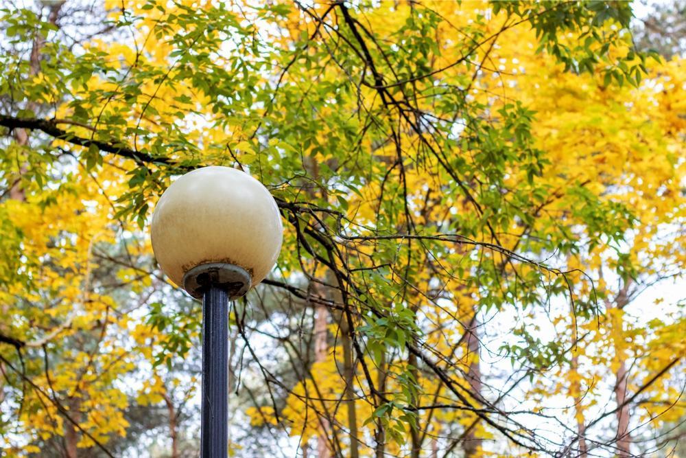 Greenway Park - 20 minutes northeast of Downtown Denver