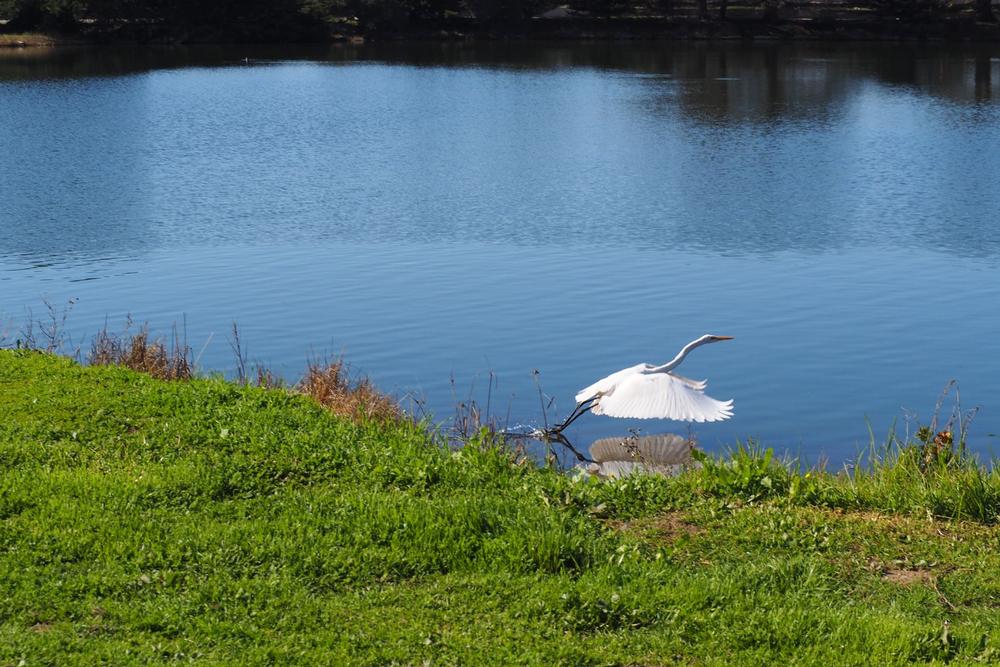 Berkeley Lake Park - 15 minutes northwest of Downtown Denver