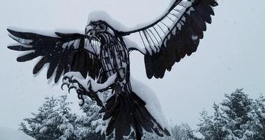 Vermont Institute of Natural Science
