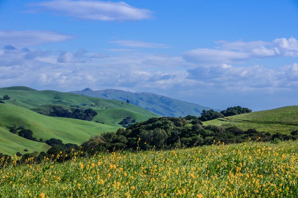 Hike Through History and Hills at Garin Regional Park