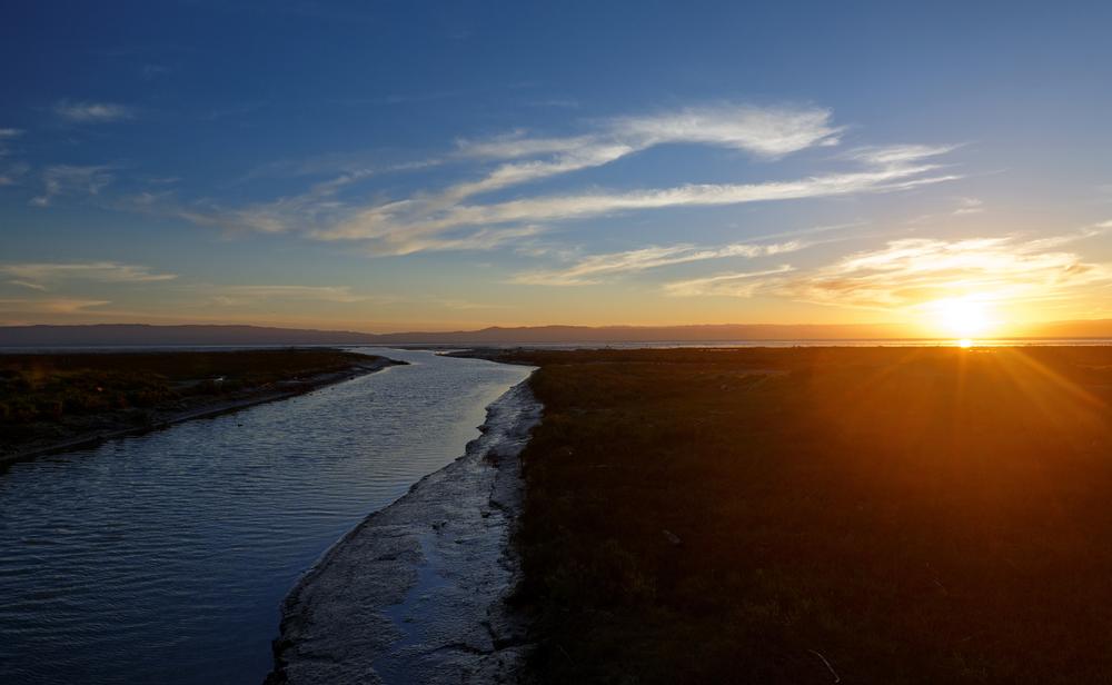Explore Wetlands and Wildlife at the Hayward Shoreline Interpretive Center