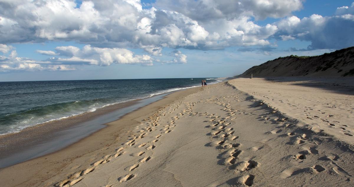 Wellfleet Beaches