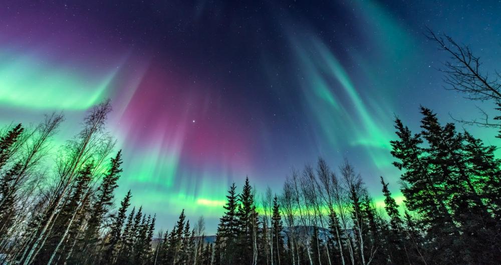 Northern Lights in Alaska: Destinations & Tours