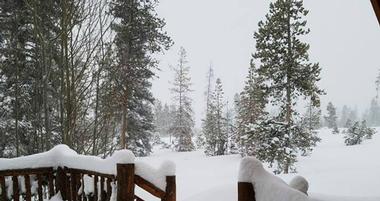Wild Horse Inn
