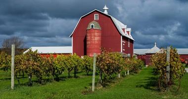 22 Wisconsin Wineries