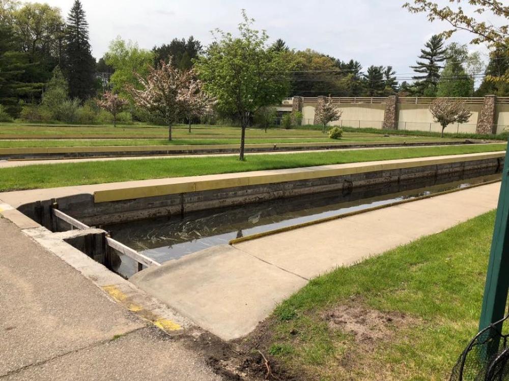 Feed the Trout and Learn at the Historic Grayling Fish Hatchery