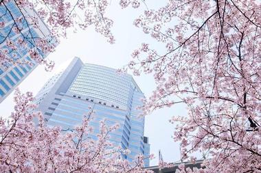 The Strings by InterContinental Tokyo