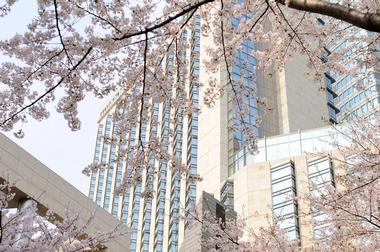 Tokyo Hotels: Grand Hyatt Tokyo