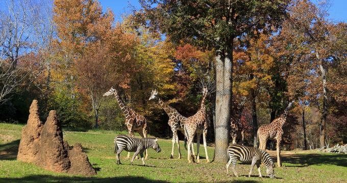 park - Relax, It's Play Time!