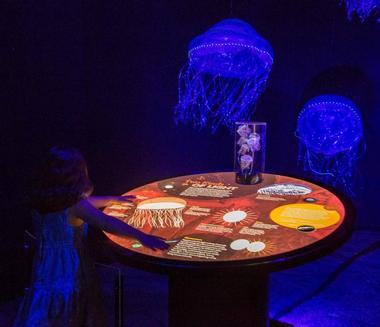 More Exhibits