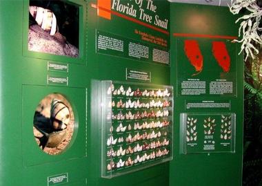 More Exhibits