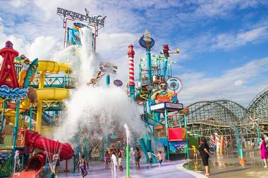 Shows and Entertainment