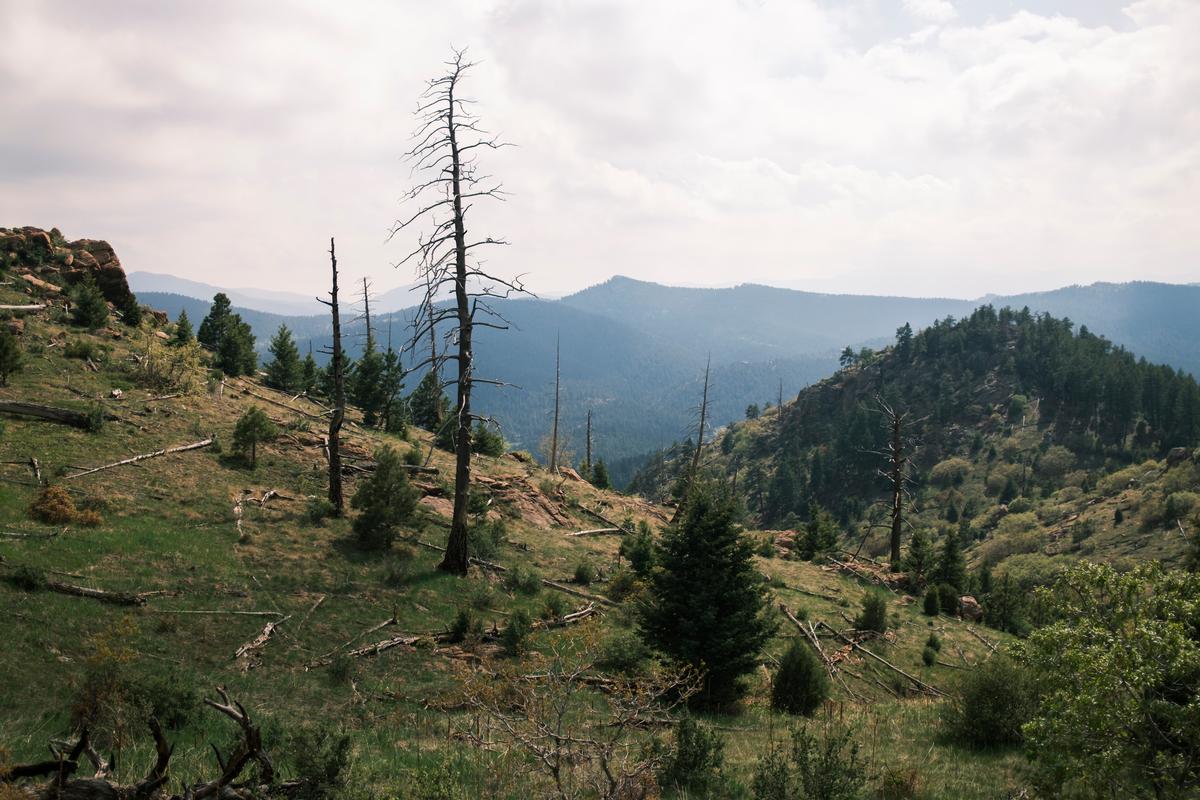 Mount Falcon Park in Morrison