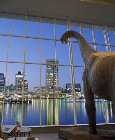 Permanent Educational Exhibits