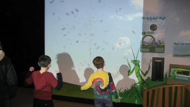 Ongoing Programs and Community Education