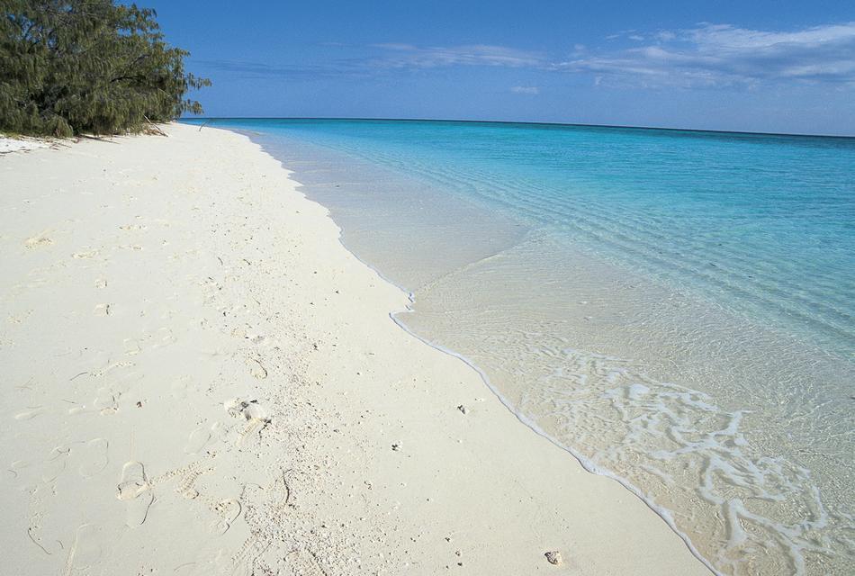 Unplug with Purpose on Heron Island - Great Barrier Reef, Australia
