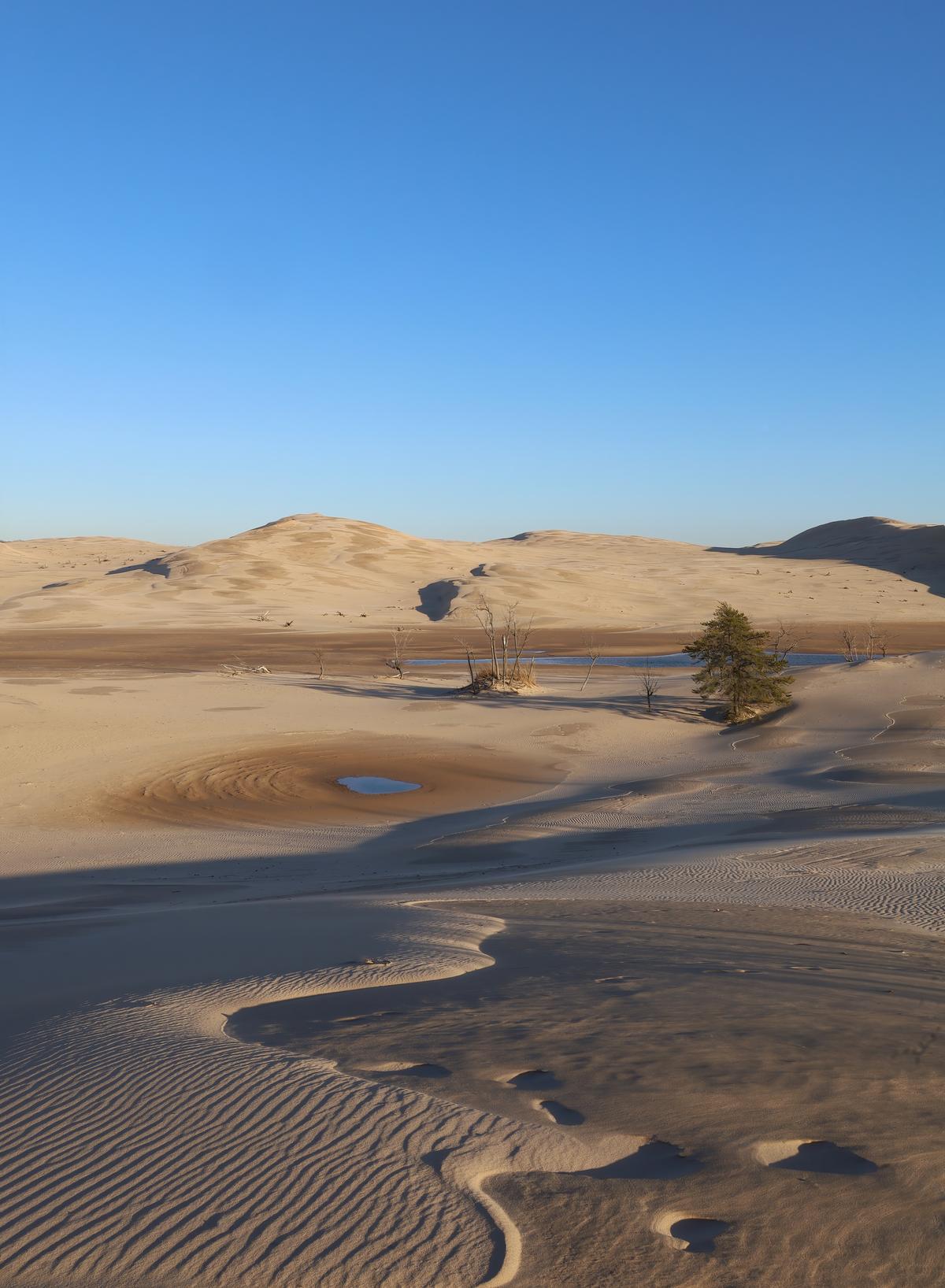 Sand dunes at Silver Lake in Michigan