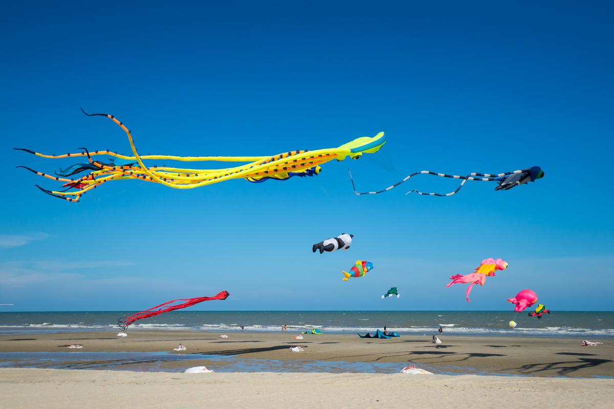 Flying kites on the beach in Oregon