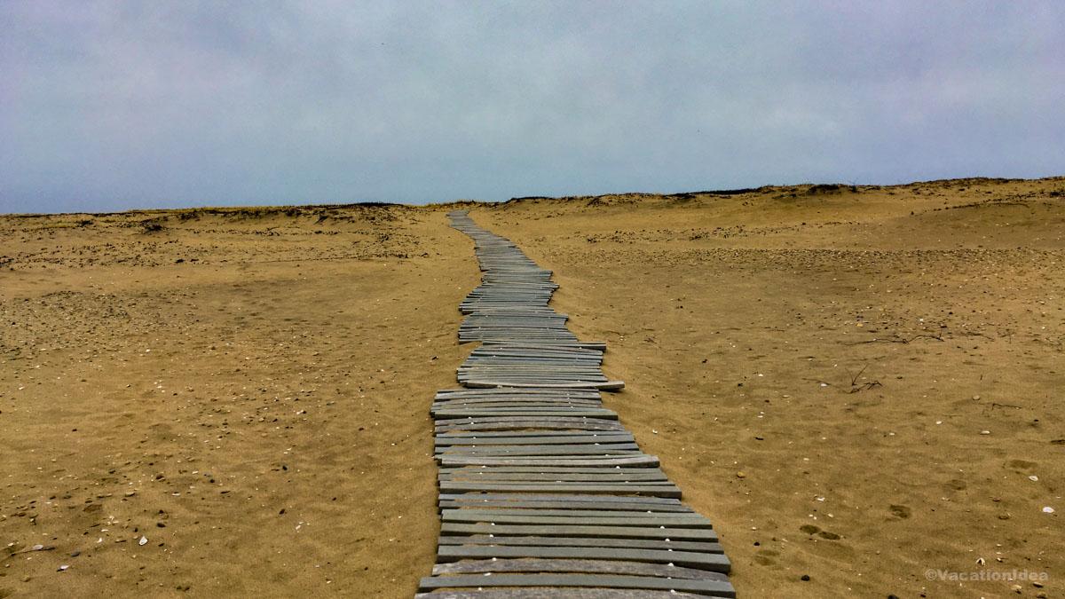 My photo of a boardwalk over the beach sand