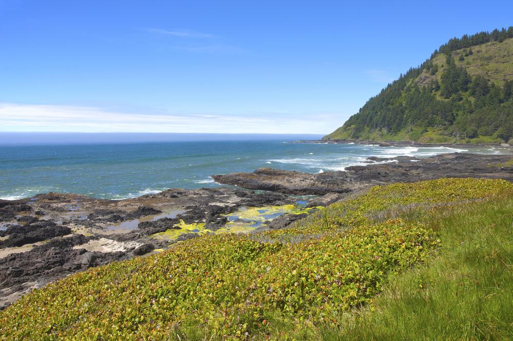 Cape Perpetua Scenic Area  - 40 minutes south of Newport, OR