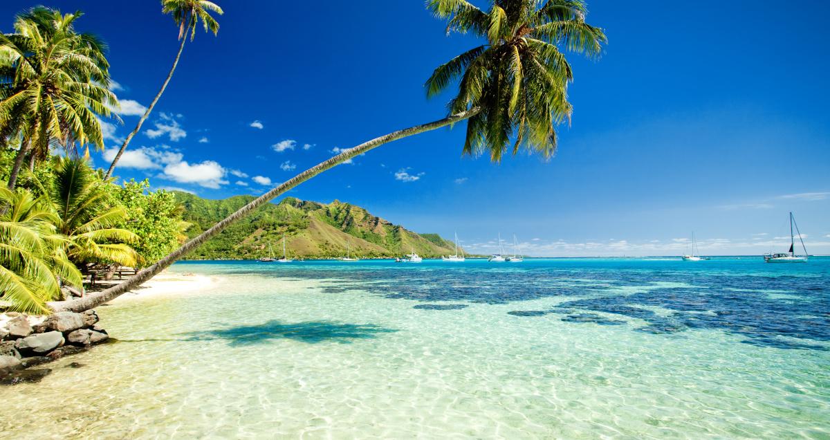 Tropical beaches are some of my favorites.