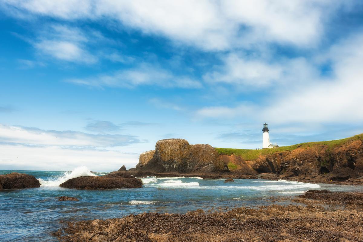 Search tide pools and view the lighthouse on a quick outing.