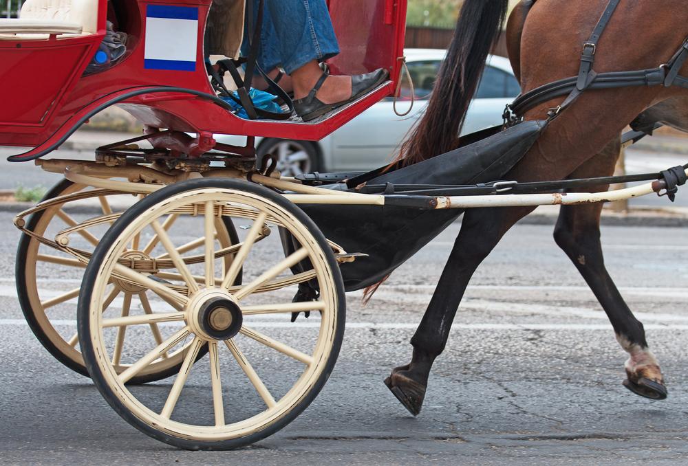 Enjoy Victorian charm in Cape May on vacation