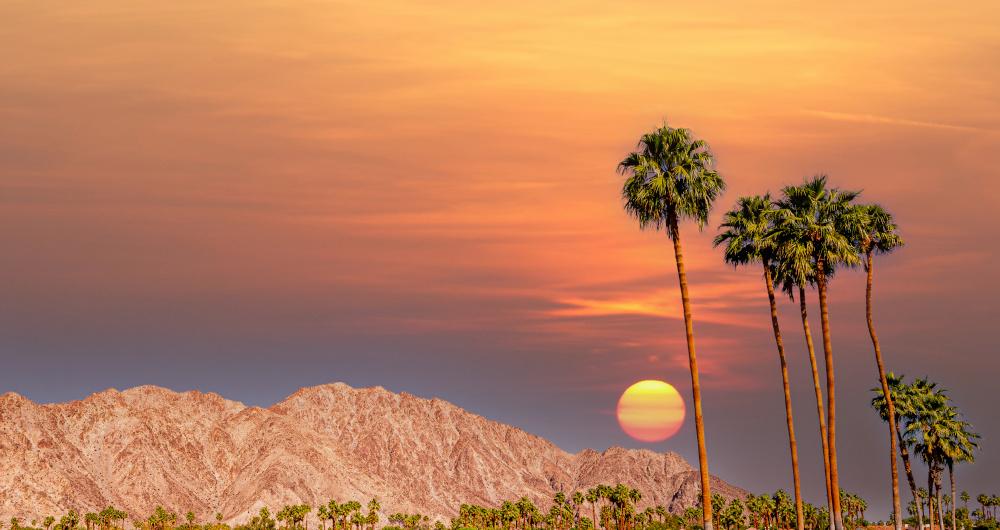 25 Best Things To Do In Palm Springs Ca