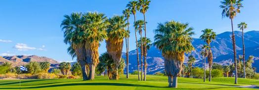 best things to do in palm springs_t_pano