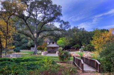 Amenities & Recreational Activities