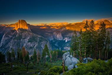 Giant Sequoias