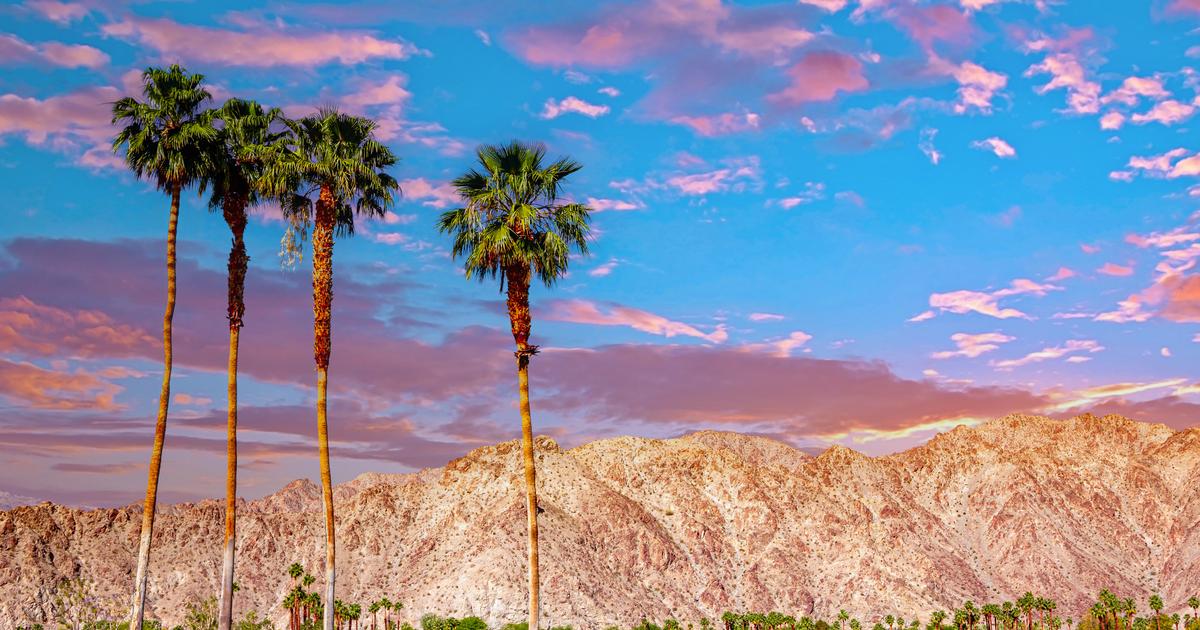 Desert Light and Midcentury Calm in Palm Springs