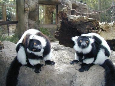Zoo