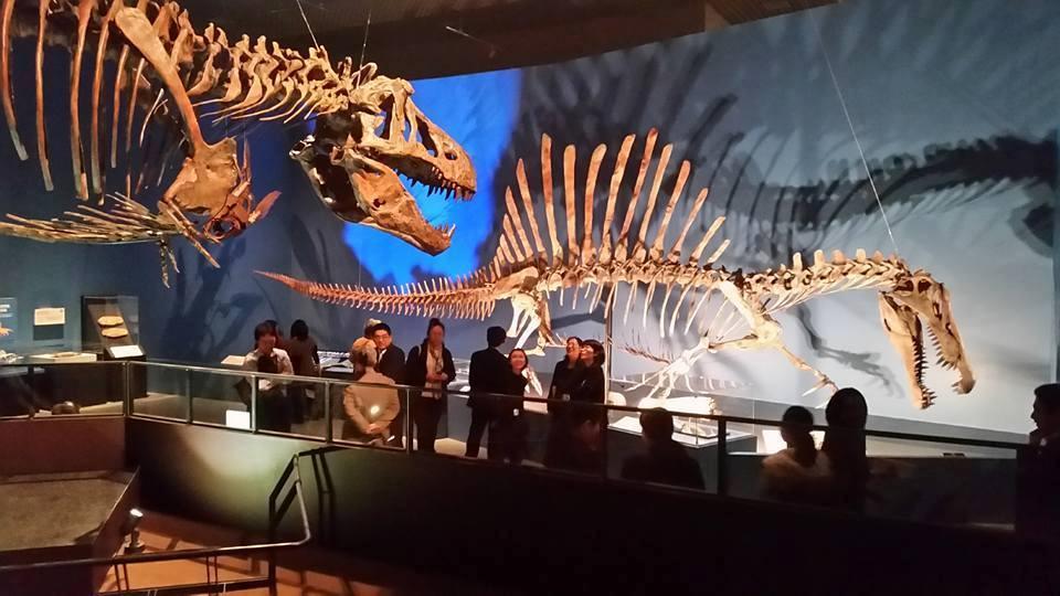 Dig Into Dinosaur Discoveries at the Raymond M. Alf Museum of Paleontology