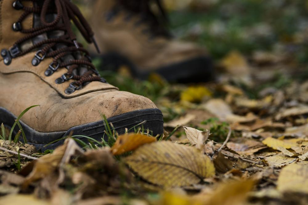 Hit the Trails for Fresh Air and Scenic Views at Claremont Hills Wilderness Park