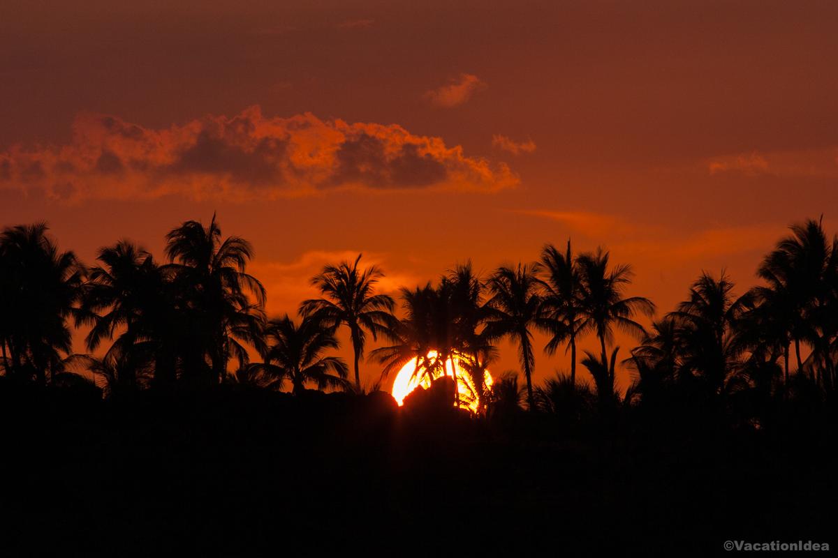 My photo of a bright orange sunset with palm trees